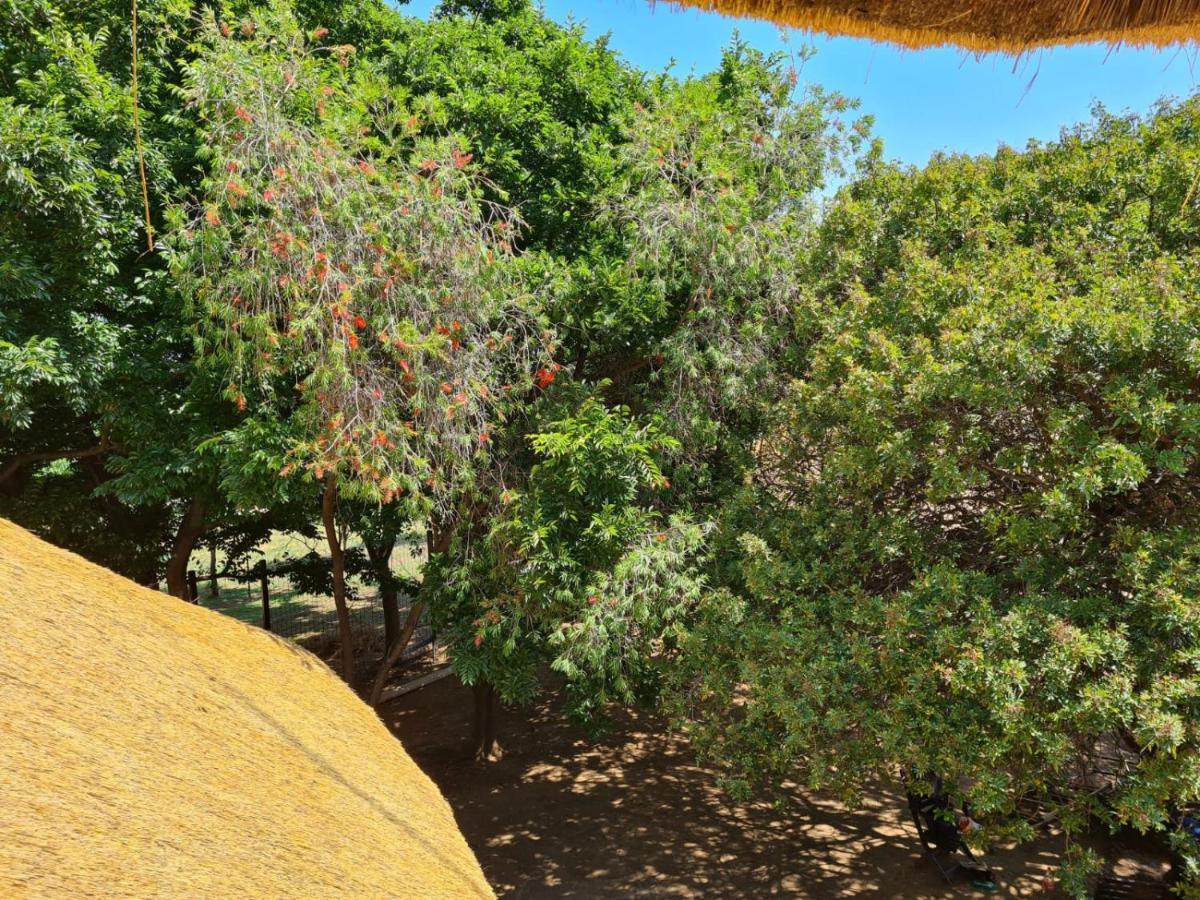 Khaya Africa Guesthouse Midrand Zewnętrze zdjęcie